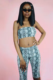 Snakes in the Grass Set