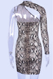Into The Jungle Dress